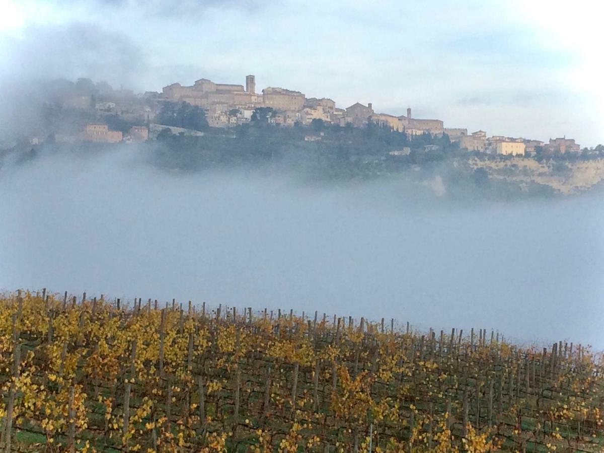 Bed and Breakfast The Grapevine By Manvi Montepulciano Stazione Exterior foto